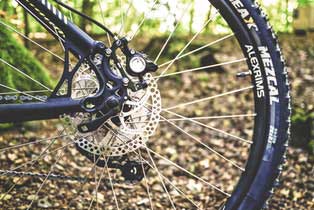 bicycle wheel in forest